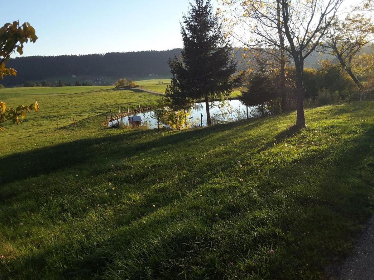 Ferienhof Kienbronnerhof Schiltach Eksteriør billede